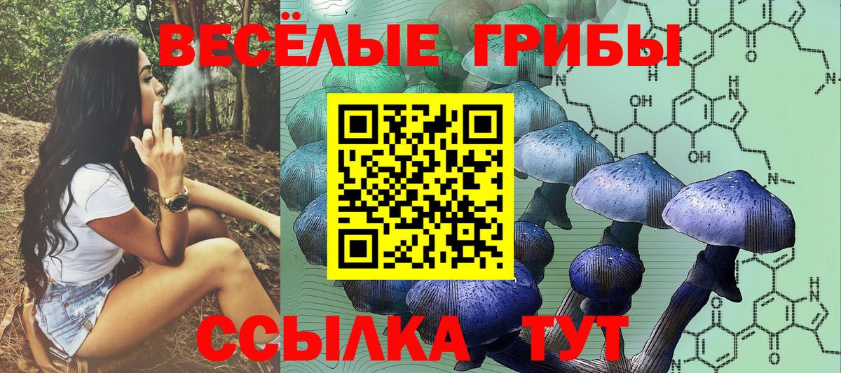 Псилоцибиновые грибы MAGIC MUSHROOMS Новоуральск